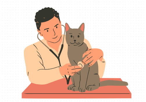 猫鼻支疱疹病毒怎么治？