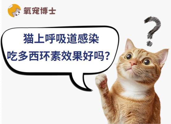 猫上呼吸道感染吃多西环素