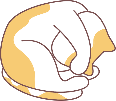 猫咪拉稀怎么办