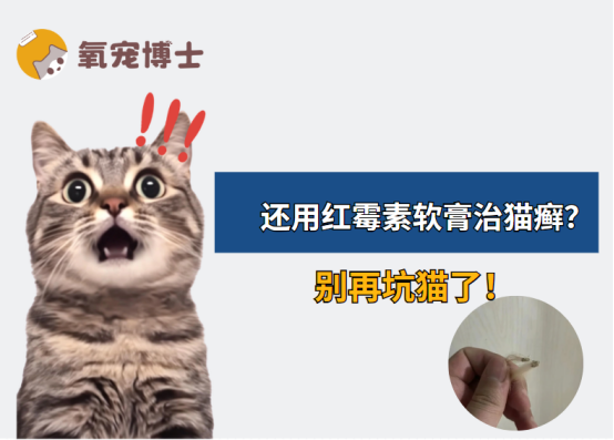 红霉素软膏治猫癣