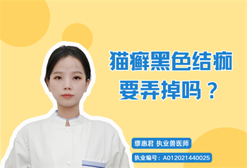 猫癣黑色结痂要弄掉吗?