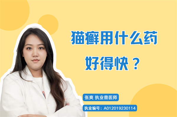 猫咪猫癣用什么药好得快?