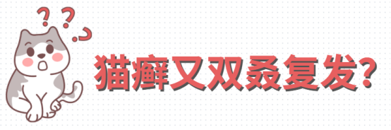 猫癣复发怎么办？