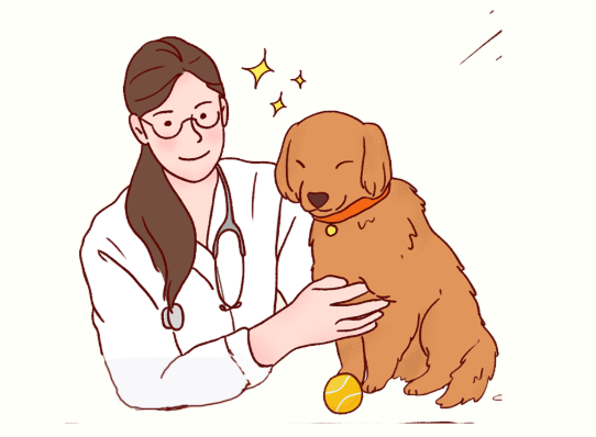 狗狗眼睛发红有眼屎用什么药？