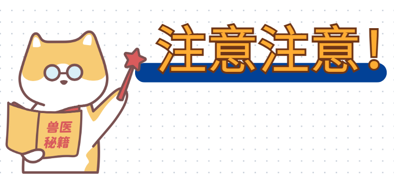 小猫腿上秃了一块怎么办?