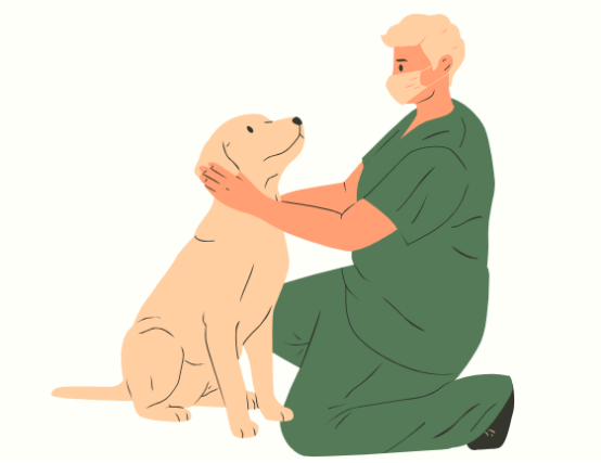 狗狗眼睛发红带着眼屎怎么办?