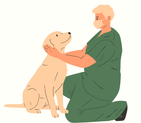 狗狗耳朵痒一直甩头用什么药？