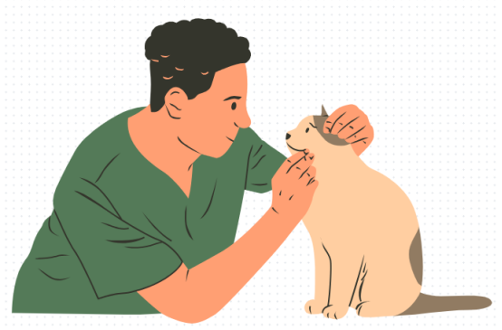 猫咪黑下巴怎么治疗？