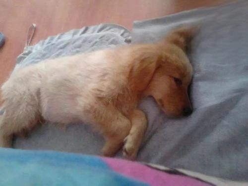 1606548742245259.jpg 胃肠炎.jpg