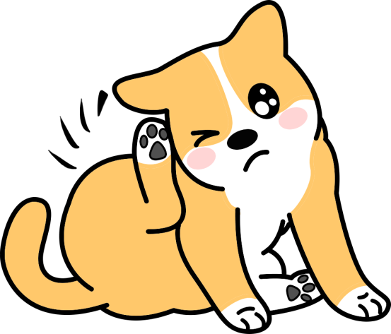 狗狗真菌感染用什么药效果好？