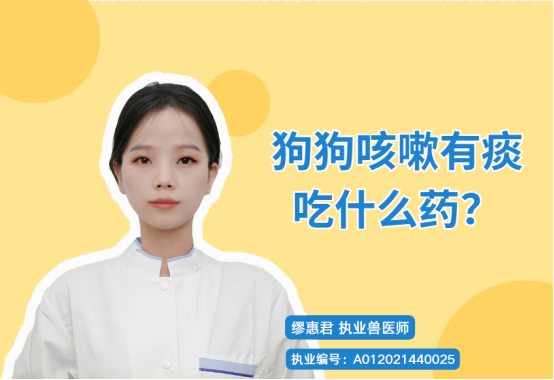 狗狗咳嗽有痰吃什么药？