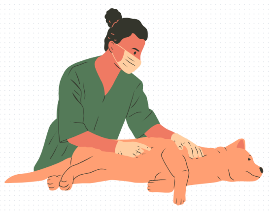 狗狗爪子缝隙红肿溃烂用什么样?