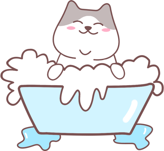 猫咪身上掉皮屑