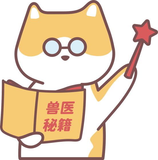 猫咪打架受伤了用什么药消炎？
