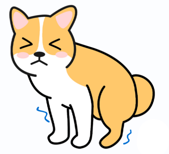 狗狗关节炎的症状