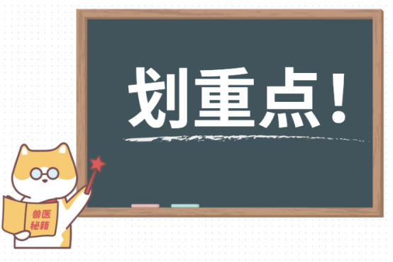 狗狗感冒吃什么药?