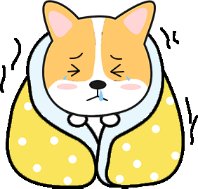 狗狗感冒