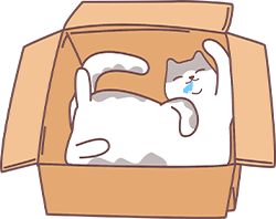 猫感冒了怎么办？