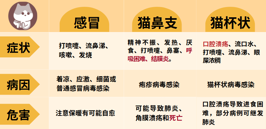 猫感冒的症状