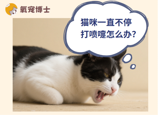 猫咪一直不停打喷嚏怎么办?