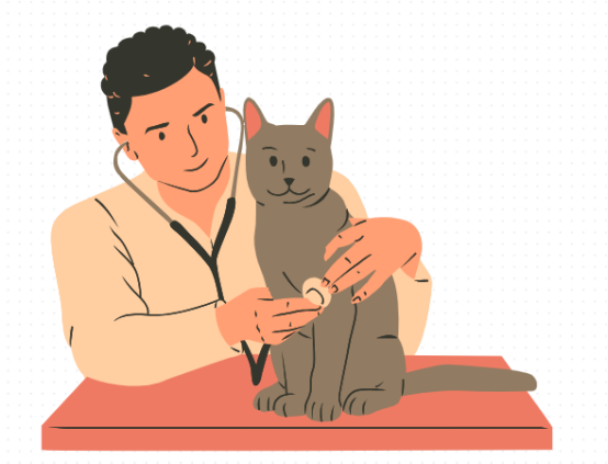 猫咪打喷嚏怎么回事?