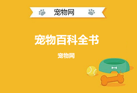 猫嘴巴会为什么打颤